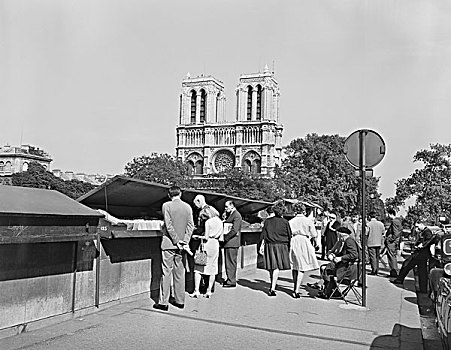 法国,巴黎,书本,货摊,塞纳河,圣母大教堂,背景