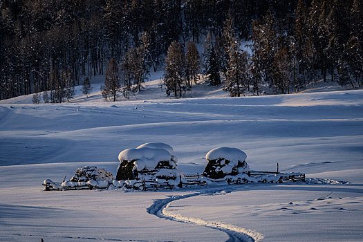 冬日雪景,中国,阿尔泰山区