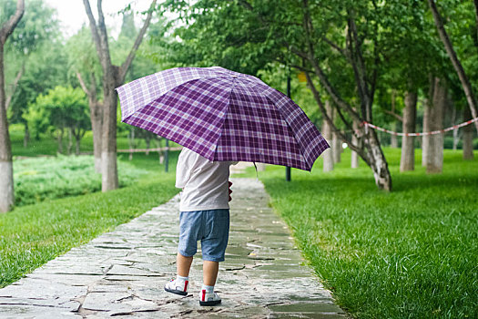 雨,散步,幼儿,背影