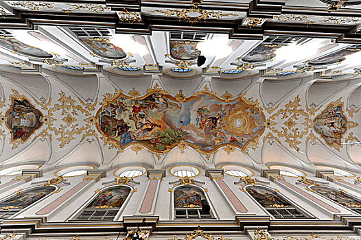 天花板,壁画,教堂,慕尼黑,巴伐利亚,德国,欧洲