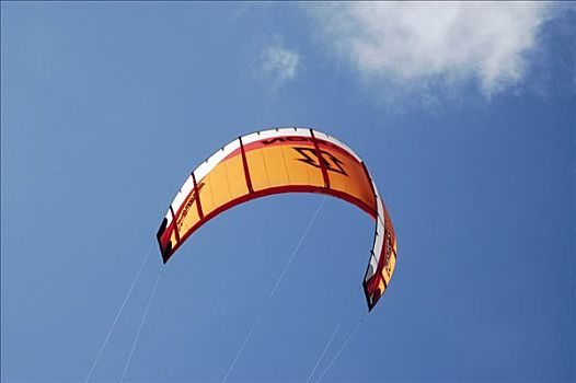 风筝冲浪手,海滩,荷兰南部,荷兰