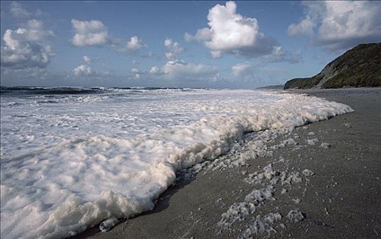 海水泡沫,西海岸,叫,40岁,工作,上方,塔斯曼海,海岸,南岛,新西兰