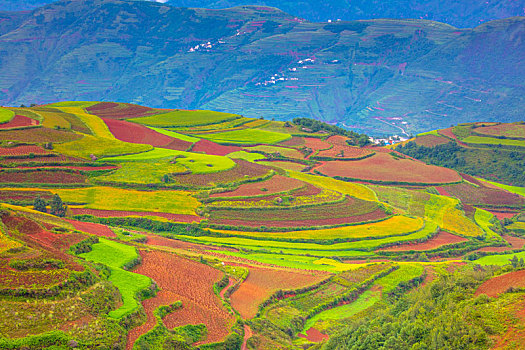 东川红土地的光,景,人