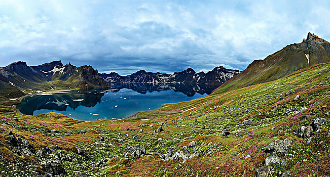 长白山天池高山花卉