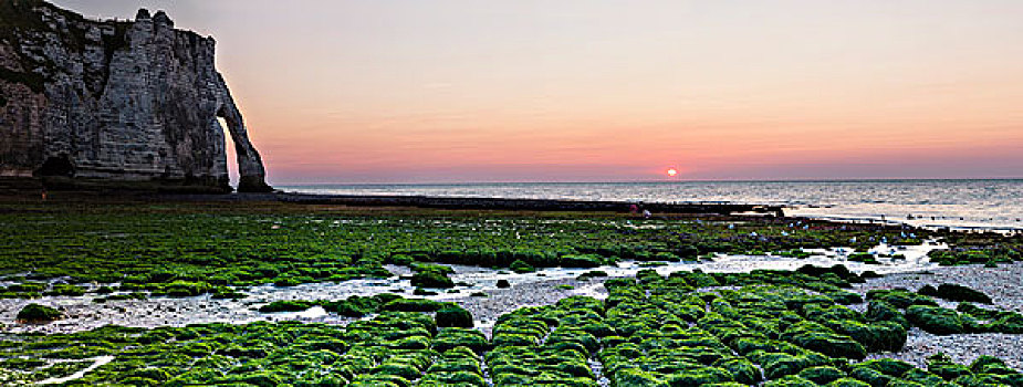 绿色,海藻,遮盖,岩石,海滩,正面,剪影,日落,薪水,上诺曼底大区,法国