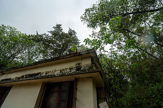 广州2023年春季华南雨中的植物园创意园区建筑