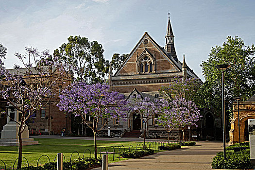 历史,建筑,大学,阿德莱德,南澳大利亚州,澳大利亚