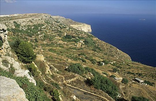 悬崖,南方,海岸,马耳他