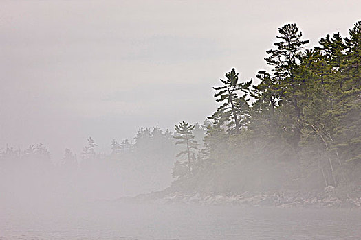 雾,苏必利尔湖,苏必利尔湖省立公园,安大略省,加拿大