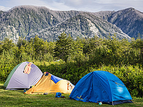 帐篷,营地,火山,公园,火山灰,遮盖,斜坡,背影,巴塔哥尼亚,智利