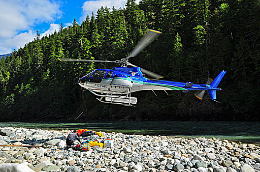 男人,直升飞机,飞钓,旅游,院长,河,不列颠哥伦比亚省,加拿大