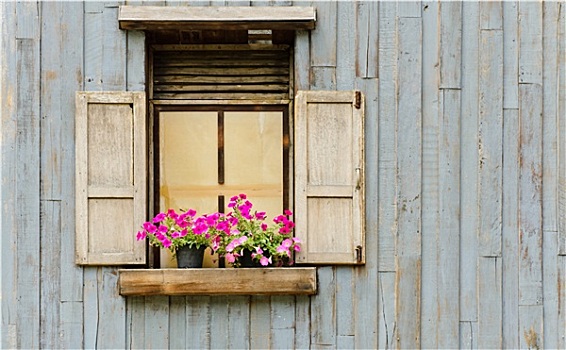 打开,窗户,花,容器,木墙