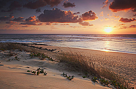 日出,海滩,莫桑比克