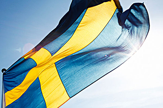 仰视,瑞典,旗帜