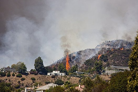 森林火灾,洛杉矶,加利福尼亚,美国