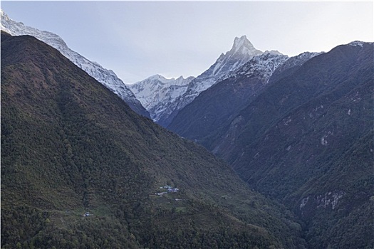 鱼尾,山,尼泊尔