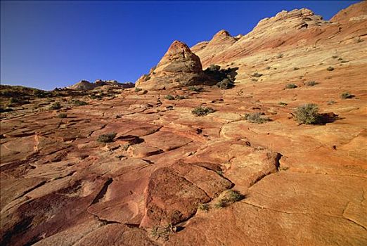 彩色,砂岩,图案,石化,沙丘,脊,腐蚀,靠近,河,科罗拉多高原,犹他