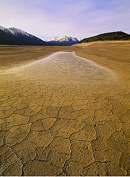 泥,北方,萨斯喀彻温,河,靠近,班芙国家公园,艾伯塔省,加拿大