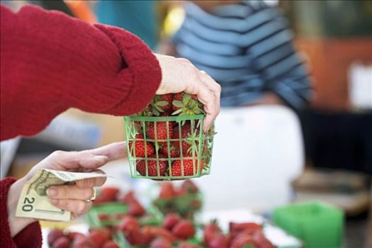 女人,买,草莓,市场