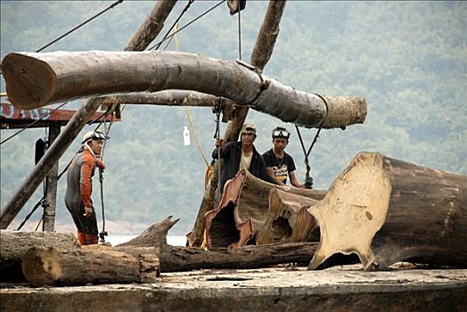 危险,木头,水库,老挝,亚洲