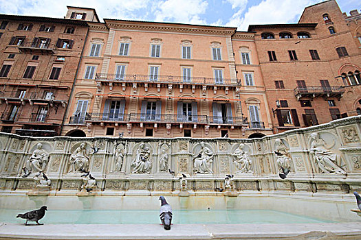 喷泉,坎波广场,广场,锡耶纳,意大利,欧洲