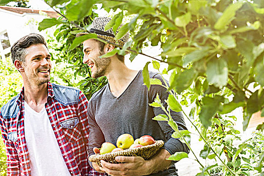 两个男人,花园,一个,苹果