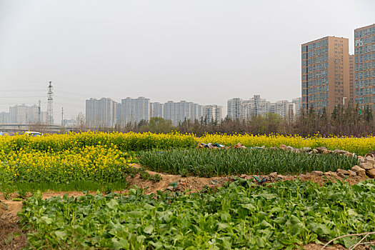 自然风景