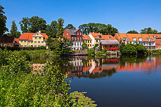房子,水塘,荷叶,纽堡,丹麦