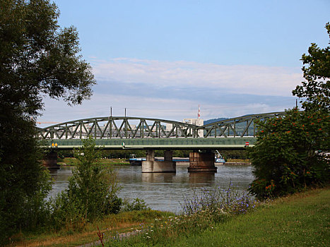 绿色,金属,铁路,钢铁,桥,公园,靠近,多瑙河