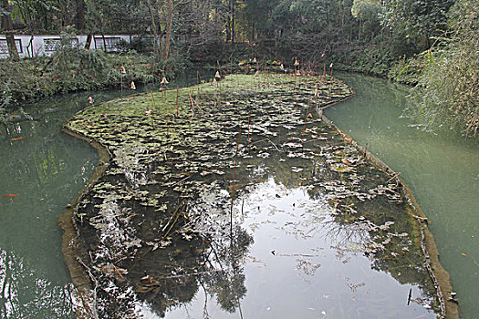 成都,古迹,建筑,旅游,景点,街道,商铺,杜甫草堂