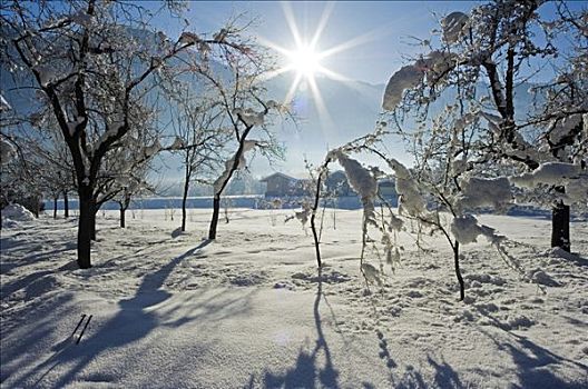 奥地利,提洛尔,山谷,迈尔霍芬,滑雪胜地,乡村,覆雪