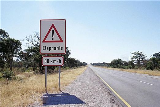 交通标志,路标,小心,大象,区域,纳米比亚,非洲