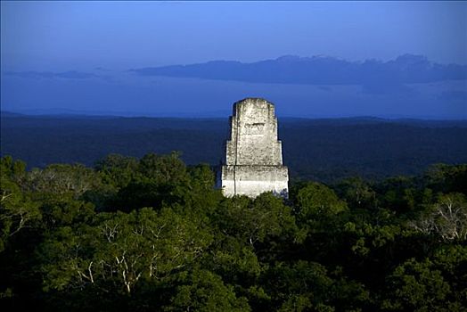 遗址,庙宇,围绕,树,蒂卡尔国家公园,危地马拉