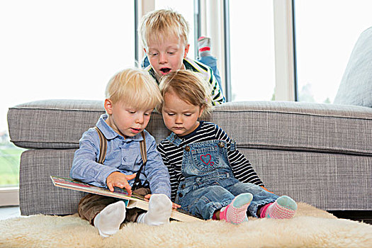 男孩,两个,幼儿,读,孩子,书本,客厅,地面