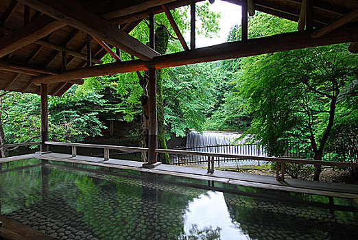 日本,温泉