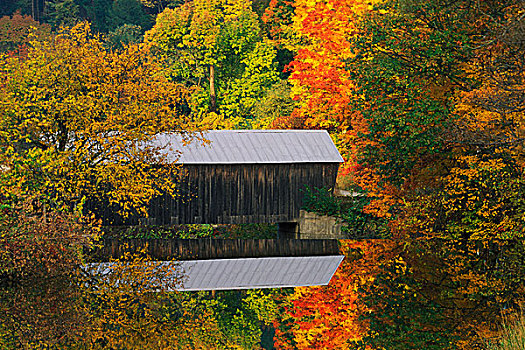 美国,佛蒙特州,风雨桥,秋天,反射,画廊