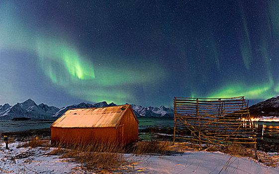 北极光,颜料,天空,高处,自然保护区,阿尔卑斯山,特罗姆斯,挪威,拉普兰,欧洲