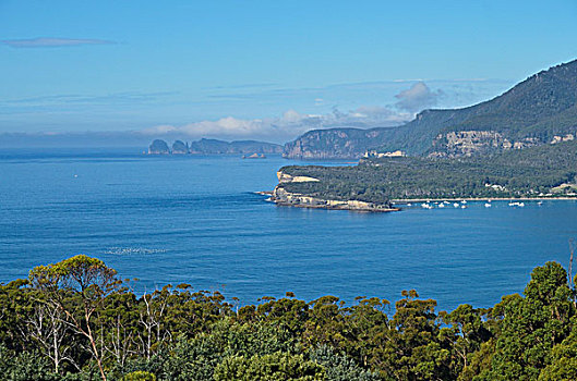 海盗湾,塔斯马尼亚,澳大利亚