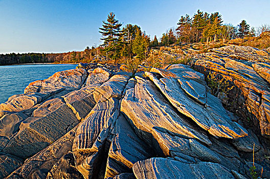 石头,海岸线,乔治亚湾,安大略省,加拿大