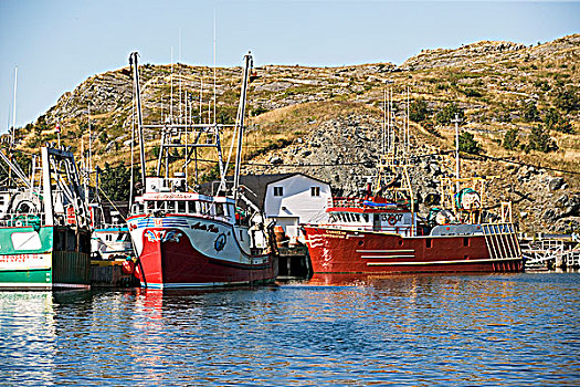 渔船,港口,严肃,纽芬兰,加拿大,商业,渔业