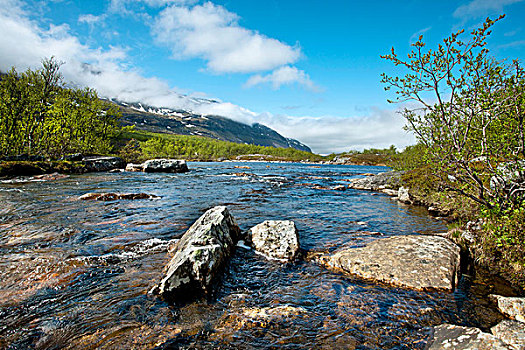 河,靠近,拉普兰,北方,瑞典,斯堪的纳维亚,欧洲
