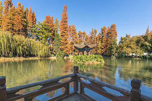云南昆明西華公園自然景觀