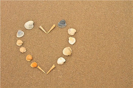 爱心,壳,海滩