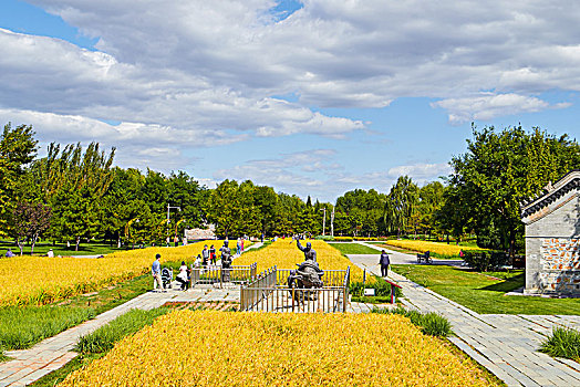 秋天北坞公园的景色