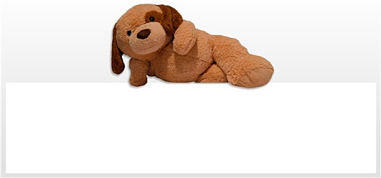 泰迪熊,狗玩具