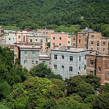 风景,乡村,福建,中国