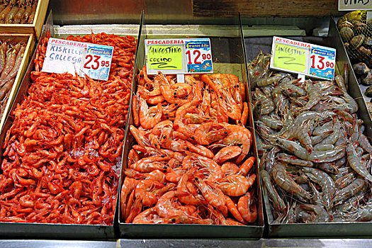 对虾,加利西亚,海螯虾,生食,烹饪,鱼市,毕尔巴鄂,巴斯克,西班牙