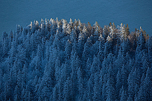 风景,瓦尔幸湖,湖,冬天,巴伐利亚阿尔卑斯山,巴伐利亚,德国