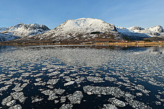 冰,水,正面,雪,山地,海岸线,韦斯特阿伦,挪威,欧洲