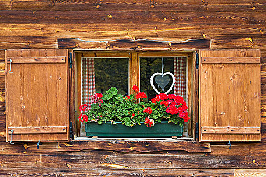 木质,窗户,山,住宿,提洛尔,奥地利,欧洲